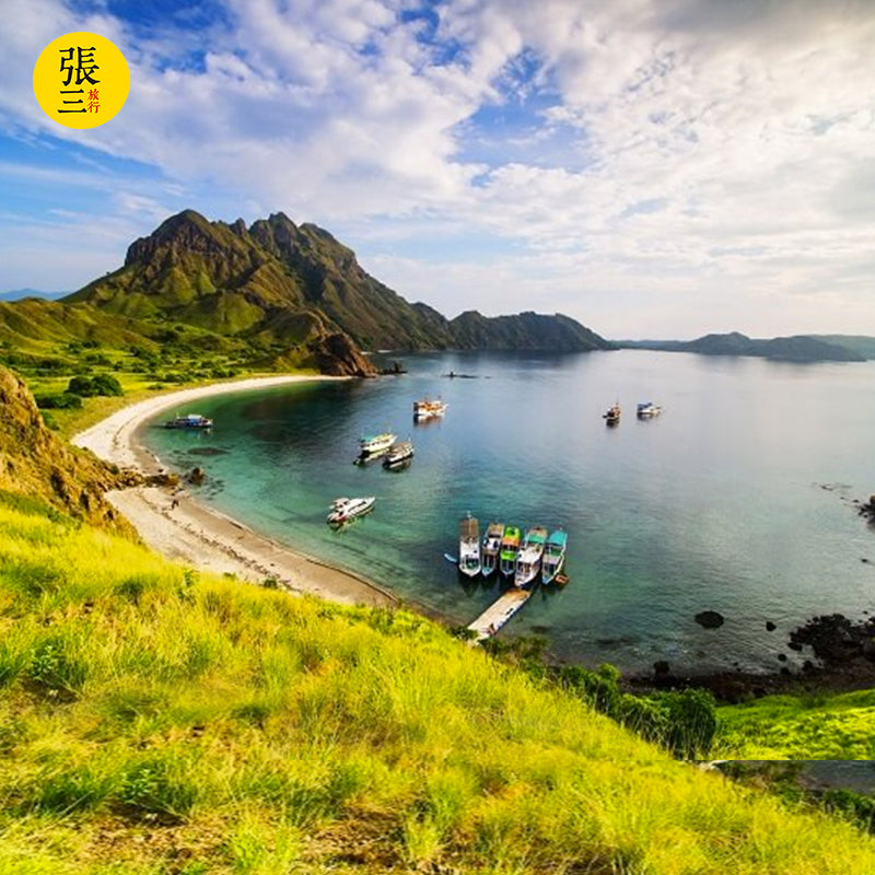 科莫多岛：岛上探险 粉红沙滩 快艇环岛