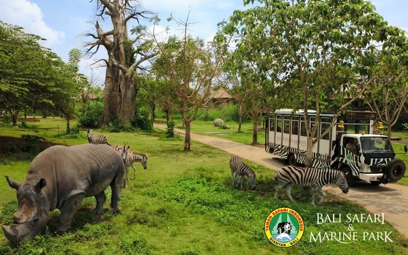 Bali Safari & Marine Park
