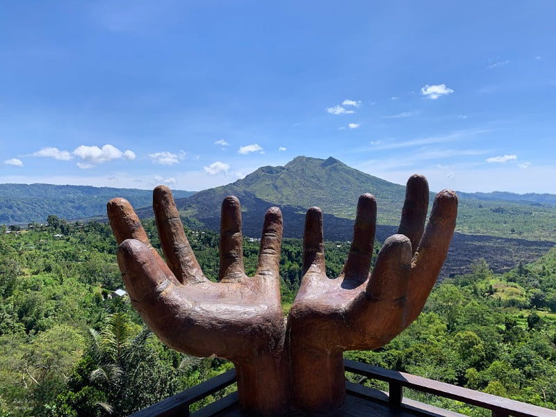 Bali:Ubud Rice Terraces+Temples+Volcano