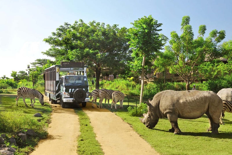 Bali Safari & Marine Park